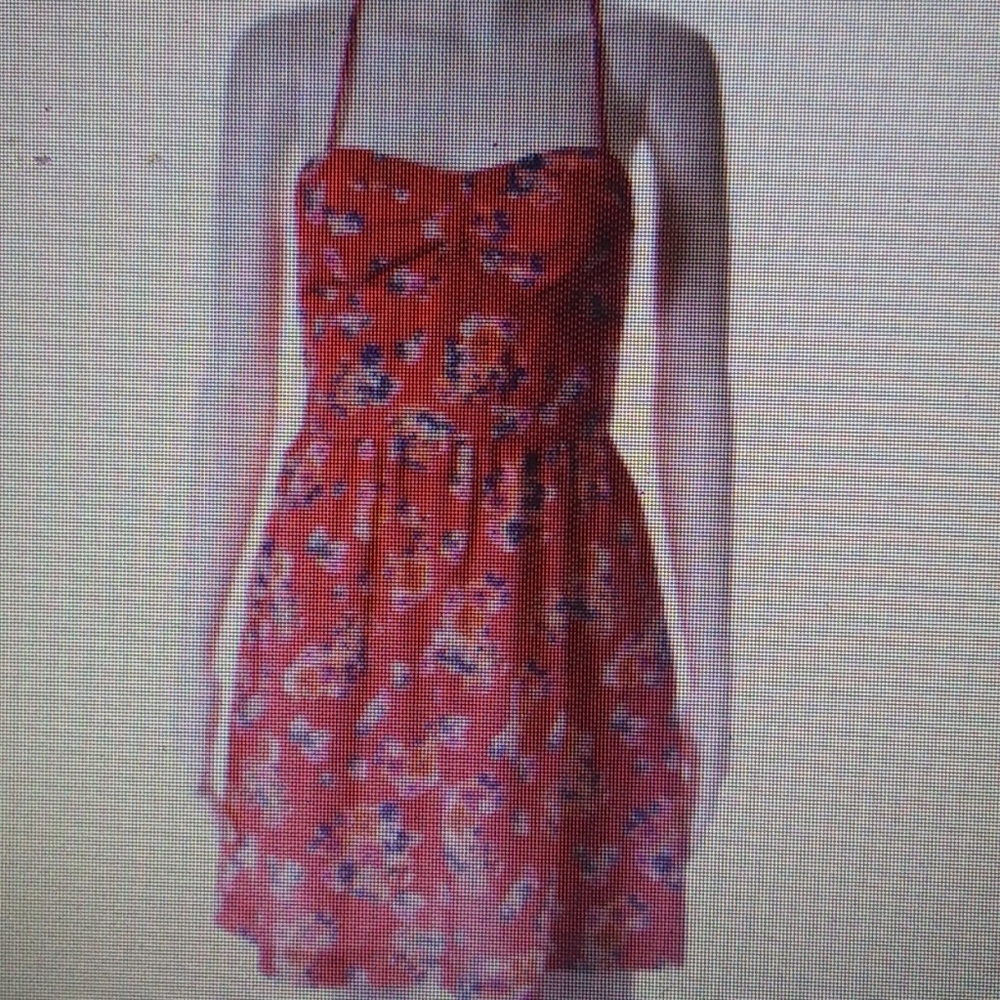 American Eagle Outfitters Red Floral Dress